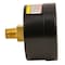 Water Source -RM Pressure Gauge, 1/8 in Connection, Steel Gauge Case, 0 to 100 psi, Back Connection M1002-8B - alternate 2