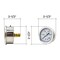 Interstate Pneumatics Oil Filled Pressure Gauge 5000 PSI 2-1/2 in Dial 1/4 in NPT Rear Mount G7122-5000 - alternate 5