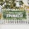 Signmission Farm Fresh Spinach, 48 Inch x 120 Inch, Vinyl Banner B-120-30615 - alternate 3
