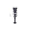 Fcs Struts Suspension Strut And Coil Spring Assembly 1355071 - alternate 1