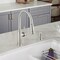 Blanco Empressa Pull Down 1.5 gpm, Stainless 442500 - alternate 4
