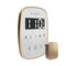 Mr. Steam TempoFlex Steam Shower Control and Steamhead in White Brushed Bronze AIRTWH-BB - alternate 3