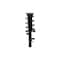 Fcs Struts Suspension Strut And Coil Spring Assembly 3335877R - alternate 1