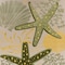Homeroots 12' X 15' Green Blue Yellow And Dark Green Starfish Indoor Outdoor Area Rug 548126 - alternate 5