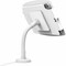 Compulocks iPad 10th-11th A16 Gen Space Enclosure Flex Arm Mount White 159W209IPDSW - alternate 2