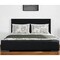 Homeroots Black Upholstered Queen Bed Frame 569350 - alternate 1