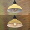 Jonathan Y Jasper 12.25" 1-Light Farmhouse Industrial Indoor/Outdoor Iron LED Pendant, Matte Yellow JYL7611H - alternate 4