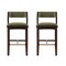 Manhattan Comfort Patricia Barstool in Turtle Green - Set of 2 2-BS026-GR - alternate 3
