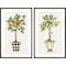 Homeroots Set Of Two Fruit Topiary Black Framed Print Wall Art, 2PK 416412 - alternate 1
