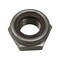 Cnh NUT LOCK, CNH OEM 131-479 131-479 - alternate 2