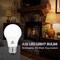 E Energetic Lighting A19 LED Light Bulb 60-Watt Equivalent 8W Dimmable E26,3000K, 24PK YGA03C70-8W-830-24P - alternate 3
