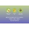 Shea Moisture Apple Cider Vinegar Anti Dandruff Pre Wash, 4 Fluid Ounce, 12PK 68939333 - alternate 3