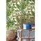 York Wallcoverings Banana Leaf Aqua and Red Wallpaper AT7068 - alternate 3