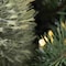 Celebrations 4 ft. Full LED 50 ct Mixed Pine Potted Color Changing Christmas Tree 24-01013A - alternate 2