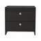 Homeroots Modern and Minimalist Black Two Drawer Nightstand 477906 - alternate 3