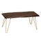 Homeroots 42" Brown And Gold Solid Wood And Iron Coffee Table 493315 - alternate 1