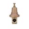 Zurn 3/4 in. FIP Bronze Pressure Reducing Valve 3/4 in. FIP 1 pc 34-600XL - alternate 1