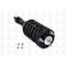Fcs Struts Suspension Strut And Coil Spring Assembly 3355037 - alternate 4