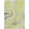Homeroots 10' X 14' Artichoke Green Blue And Brown Abstract Washable Indoor Outdoor Area Rug 597763 - alternate 4