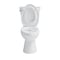 Craft And Main Elongated Toilet, pc, Easley, Guard TL-5800AFHV-EW - alternate 3