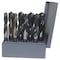 Drill America 8 Piece HSS Black and Bright Reduced Shank HSS Drill Bit Set, 9/16" - 1" D/A1008-SET - alternate 1