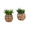 Monarch Specialties Artificial Plant, 9-in. Tall, Succulent, Table, Brown Woven Basket, Contemporary, Modern, 2PK I 9369 - alternate 1