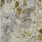Homeroots 10' X 14' Taupe Ivory And Tan Floral Washable Indoor Outdoor Area Rug 583153 - alternate 4