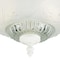 Westinghouse 2 LGT WHT Ceil Fixture 66162 - alternate 4