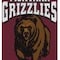 Coverking UNIVERSAL SEAT VEST DESIGNER 1PC, UNIVERSITY OF MONTANA, ELA43 USVELA43 - alternate 2
