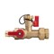 Proline Series 3/4-in F1960 PEX Brass Isolation Valve Kit w/ Pressure Relief Valve 102-140 - alternate 2