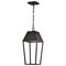 Nuvo Colt, 10 Watt, LED Hanging Pendant, Matte Black Finish 62/2314 - alternate 5