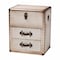 Baxton Studio Agatha Vintage Coffee Canvas 2-Drawer Storage Trunk 252-13964-ZORO - alternate 1