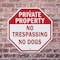 Signmission Private Property No Trespassing No, 6 inch X 6 inch, Plastic Sign, 2PK OC-P-2PACK-6-139 - alternate 5