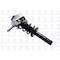 Fcs Struts Suspension Strut And Coil Spring Assembly 1335832R - alternate 2