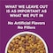 Purina Dog Chow Complete 44 Lb. Lamb Adult Dry Dog Food 179020 - alternate 3