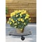 Living Accents 3 in. H Black Iron/Plastic Wheeled Plant Stand 58062 - alternate 2
