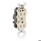 Leviton Straight Blade Receptacle, 5-15R, 15 A, 125V AC, Surface Mount, Isolated Ground M8200-IGT - alternate 3