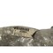 John Deere LINE, JOHN DEERE OEM AT278315 AT278315 - alternate 1