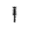 Fcs Struts Suspension Strut And Coil Spring Assembly 1333509L - alternate 1