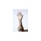 Ambitex Medium Latex Disposable Powder-Free USDA-Approved Gloves (100 Gloves) cream, 100PK LMD5201 - alternate 2