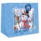 Paper Images Paper Images X-Jumbo Assorted Gift Bag CGB5XA24CD-13 - alternate 5