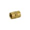 Proline Series Brass 1/4-in FIP x 1/4-in FIP Coupling BF-732NLB - alternate 1