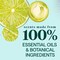 Seventh Generation Lime and Ginger Dish Soap, 19 Fluid Ounce, 6PK 68406237 - alternate 1