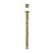 Spax #8 x 2 in Wood Composite Double Thread Screws Powertrim Trim Head T-Star Plus, 100PK 42418704005068 - alternate 3