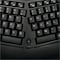 Adesso TRU-FORM MEDIA 1150 WIRELESS ERGO  MINI TRACKBALL KEYBOARD AND OPTICAL ERGO MOUS WKB-1150CB - alternate 4