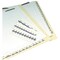 Tabbies 1/2" NUMERICAL EXHIBIT INDEX TABS, BLUE COLOR EDGE, '#1 - 10', 100 TABS/PACK, 5 PACKS/BOX, 5PK 58000 - alternate 2