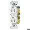 Hubbell Wiring Device-Kellems Straight Blade Receptacle, 5-15R, 15 A, 125V AC, 2 Pole, 3 Wire, Surface Mount, Grounded DR15STTR - alternate 1