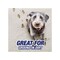 Resolve Carpet Cleaner, 623 g Can, Foam, Characteristic, White 1920083262 - alternate 3
