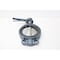 Naqip MANUAL IRON STAINLESS WAFER BUTTERFLY VALVE 6IN N200WSSE - alternate 1