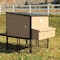 Chicken Condos 4ft X 4ft Urban Chicken Coop URBCKCO - alternate 4